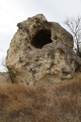 Прикрепленное изображение: A58DSC01086-1.jpg